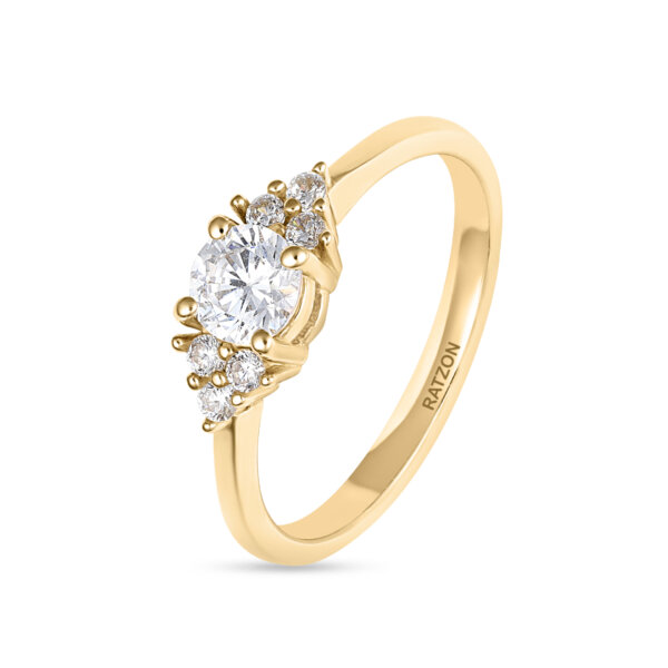 טבעת משובצת- דנה טבעת משובצת- דנה